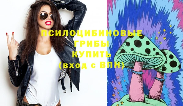 мяу мяу мука Пересвет